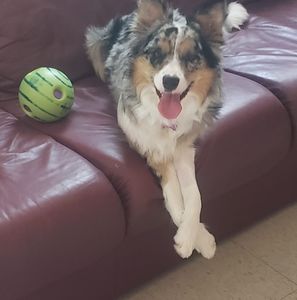 Meet your Posher, Mano